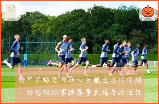 西甲买球官网核心功能全方位介绍，助您轻松掌握赛事直播与投注技巧